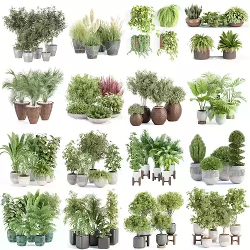 71 Plant collection vol 200 