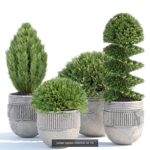 71 Plant collection vol 200 3D Model Pack 6