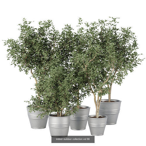 71 Plant collection vol 200 3D Model Pack 3
