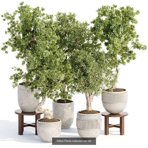 71 Plant collection vol 200 3D Model Pack 4