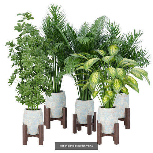 71 Plant collection vol 200 3D Model Pack 2