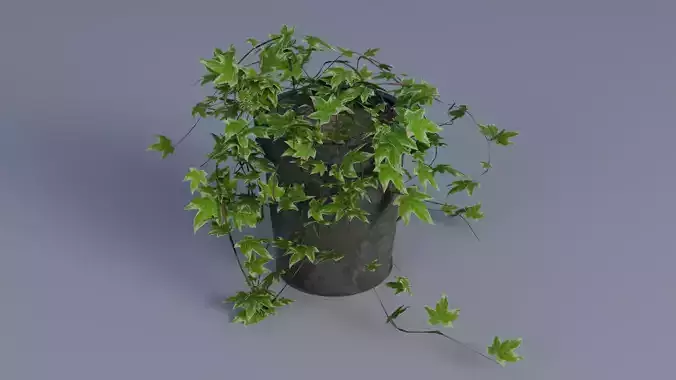 Plant pot