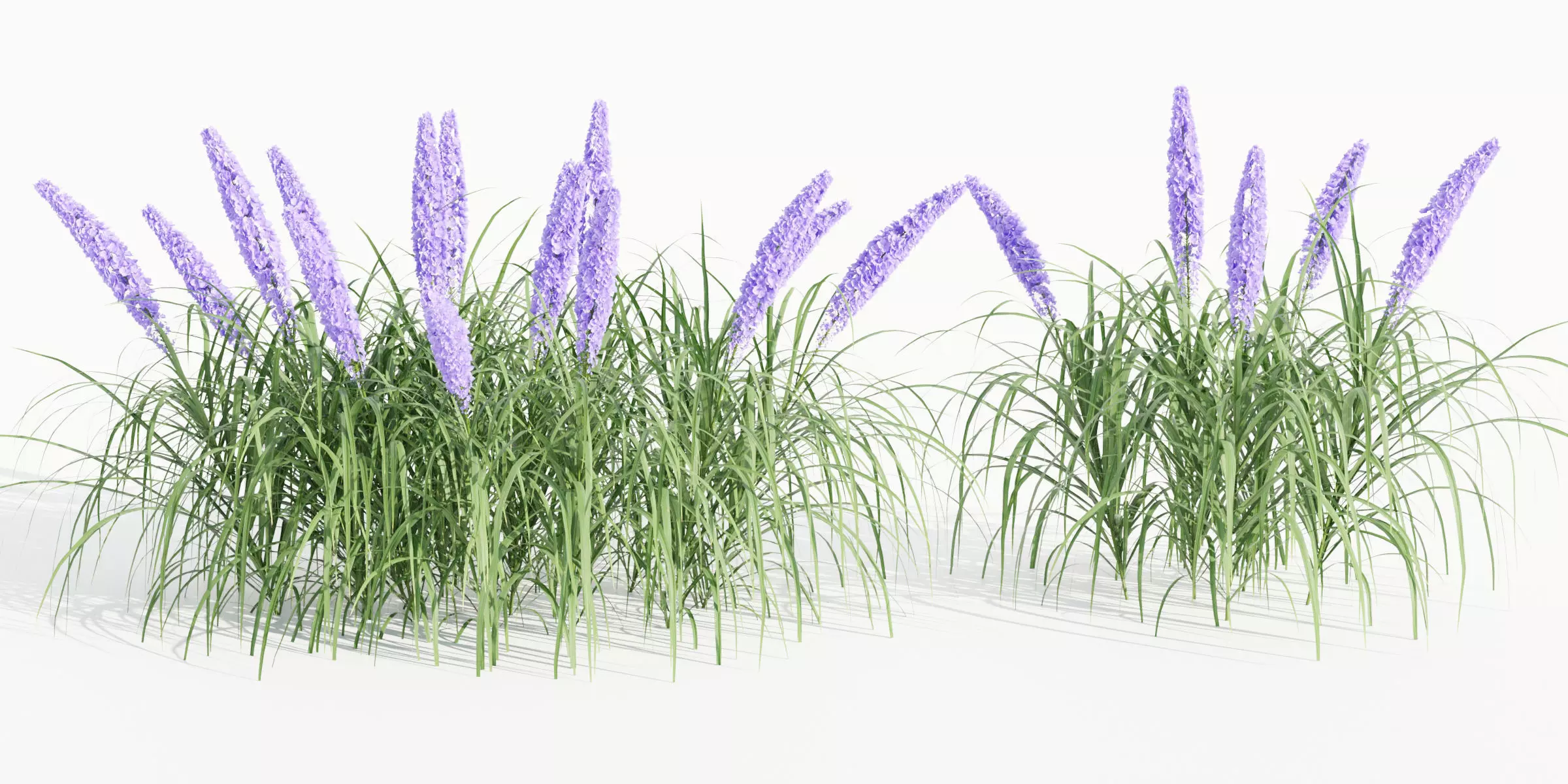 outdoor flowering bush collection vol 74-Blender 3D model