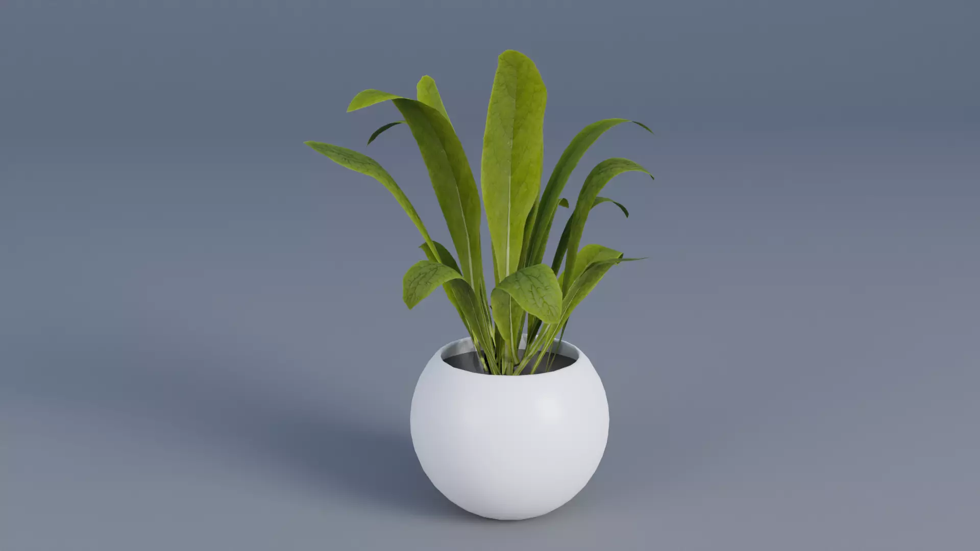 Plant pot Low-poly 3D model_0