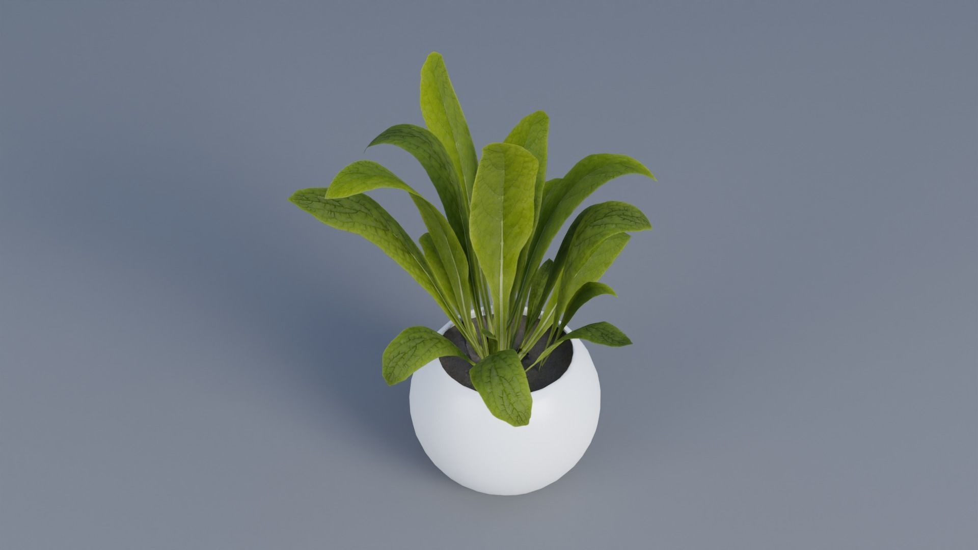 Plant pot Low-poly 3D model_1