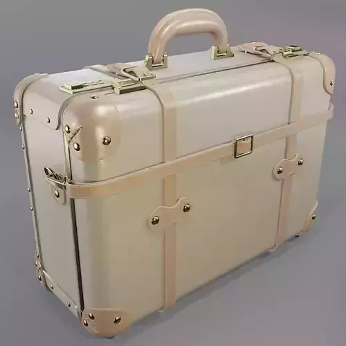 Steamline Alchemist Briefcase 3D model