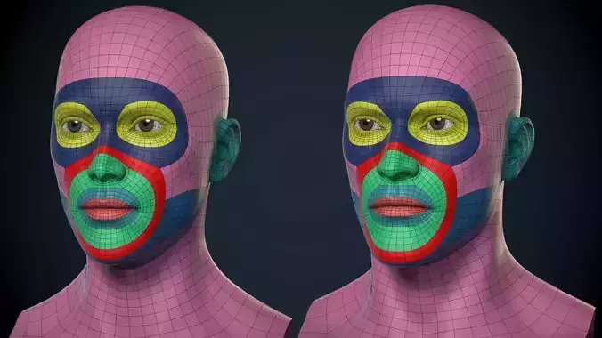 Male And Female Head Basemesh - Game Ready Low-poly 3D model