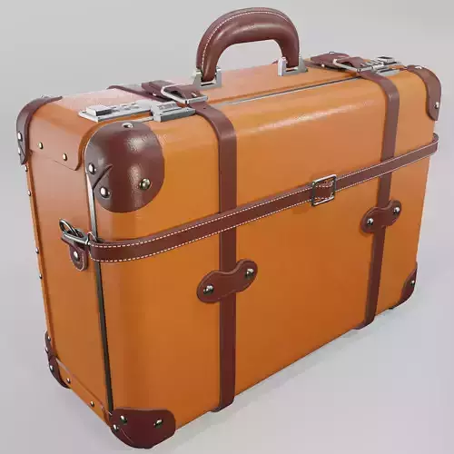 Steamline Anthropologist Orang Overnighter