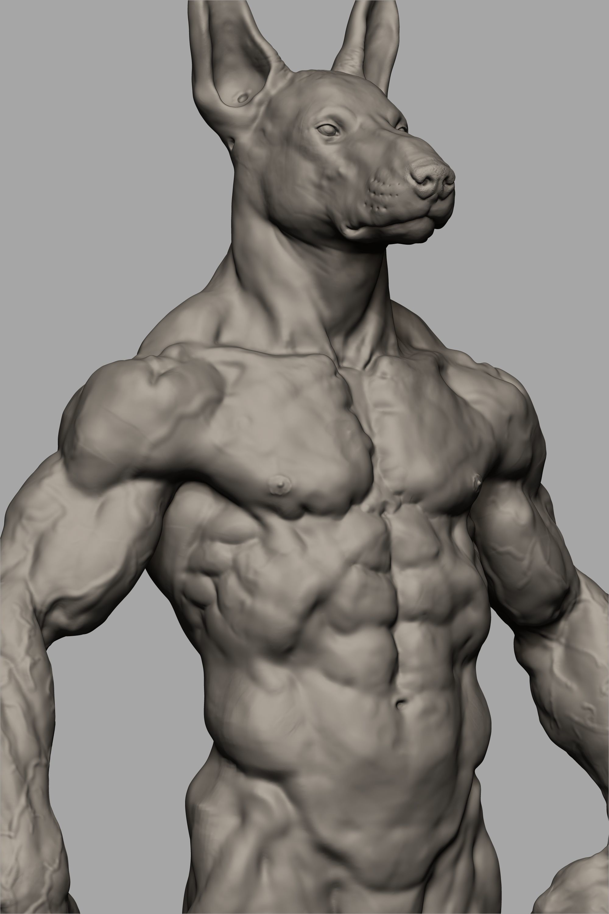 Anubis Body 3D print model_12