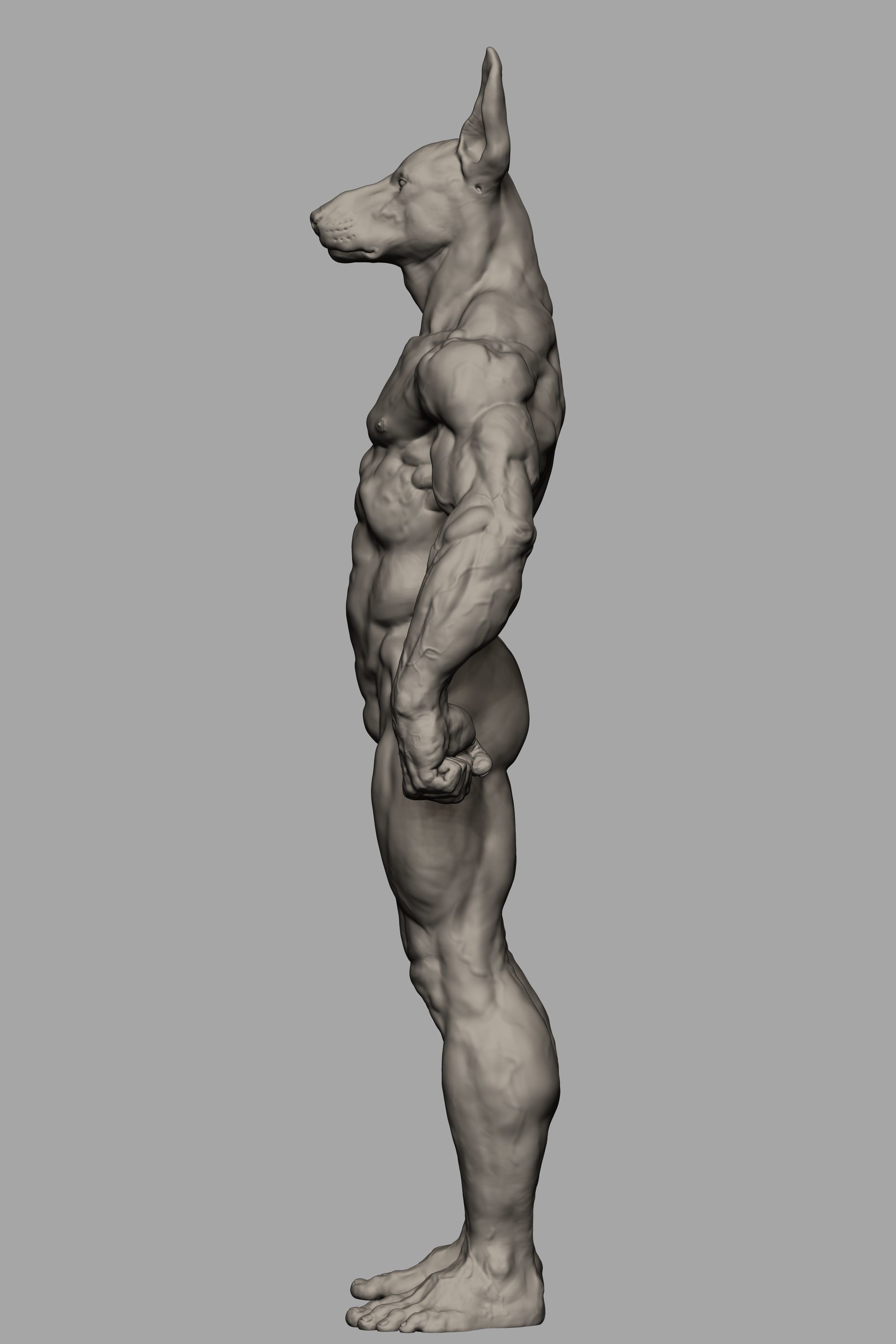 Anubis Body 3D print model_4