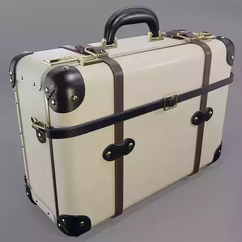 Steamline Architect Cream Overnighter