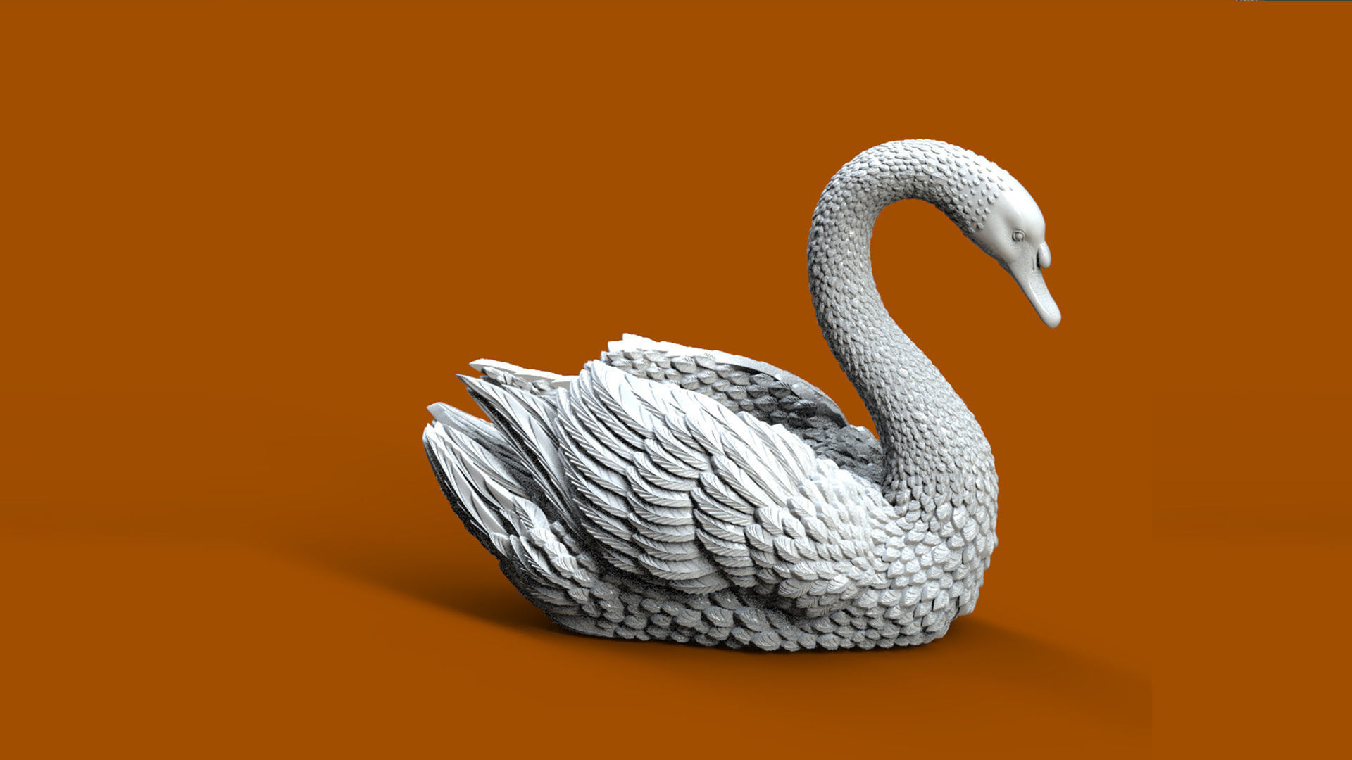 SWAN BIRD 3D print model_1