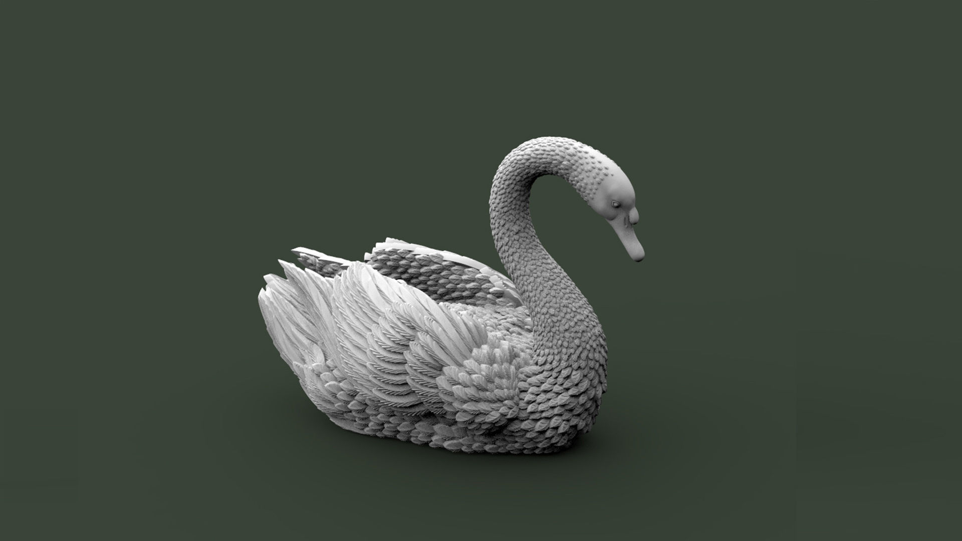 SWAN BIRD 3D print model_6