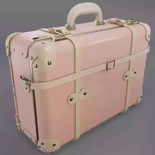 Steamline Corredpondent Pink Overnighter