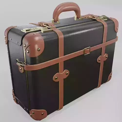 Steamline Diplomat Black Overnighter 3D model