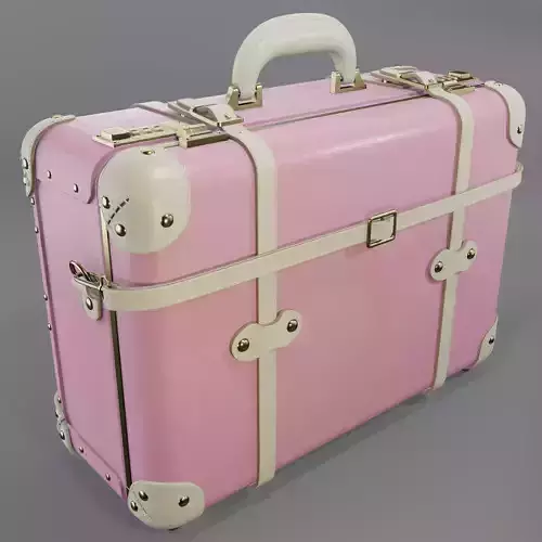 Steamline Entrepreneur Pink Overnighter