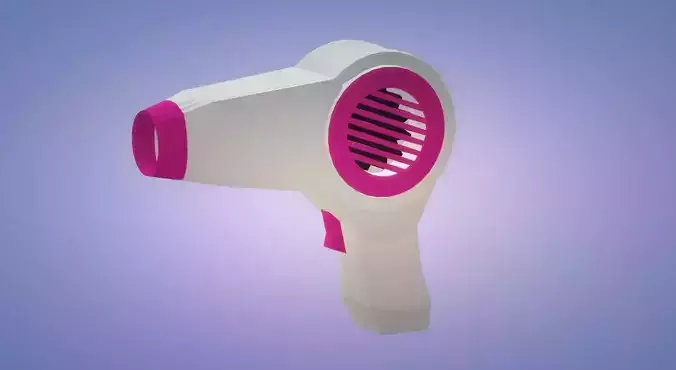 Hair dryer