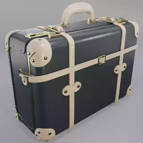 Steamline Saran Flint X Overnighter