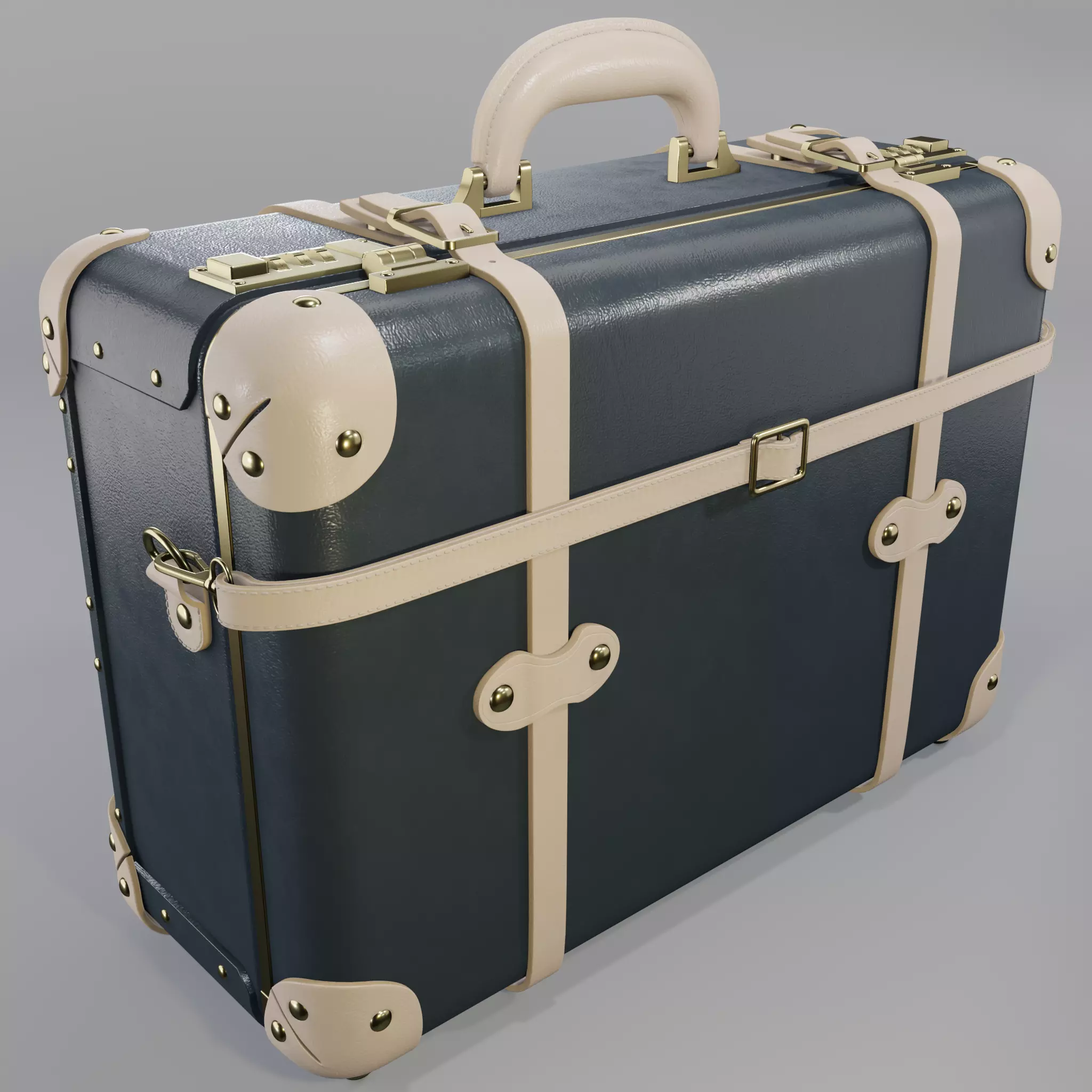 Steamline Saran Flint X Overnighter 3D model_0