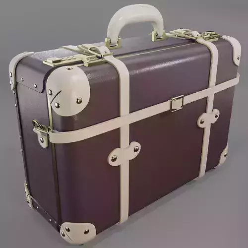 Steamline Starlet Overnighter