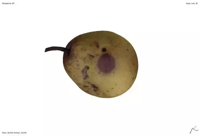 A set of three pear models