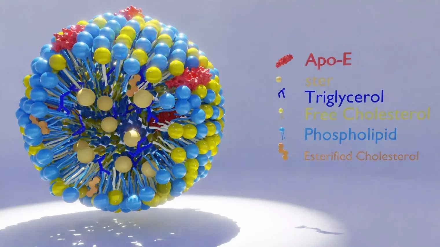 High Density Lipo-protein 3D model