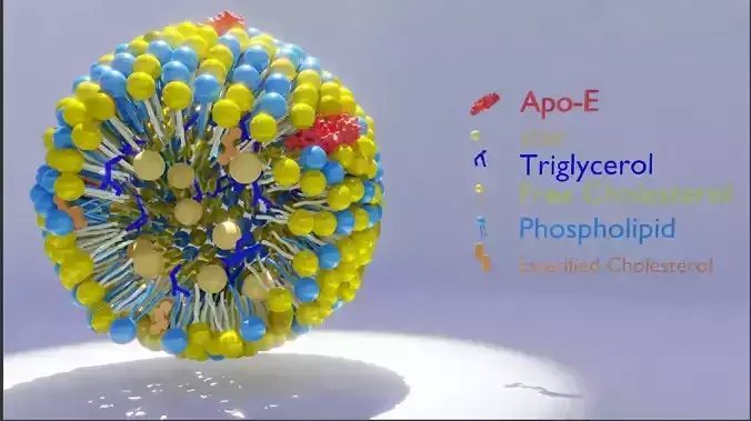 low density lipo-protein  3D model