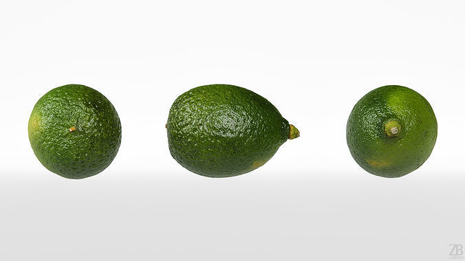 Lime  3D model 5