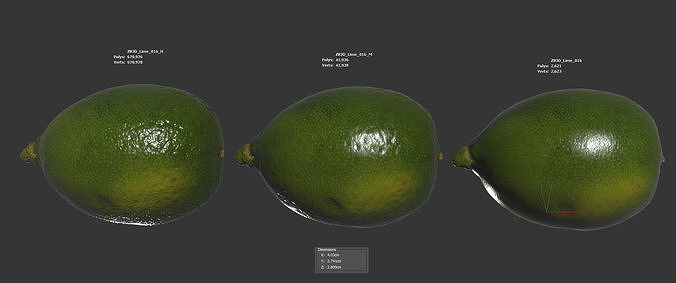 Lime  3D model 6