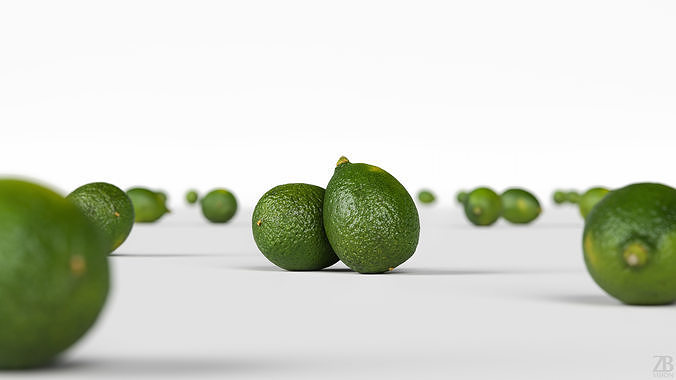 Lime  3D model 2