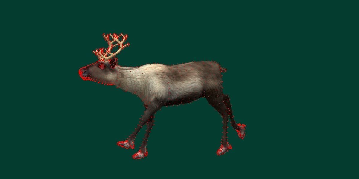 Reindeer Caribou Animal Low-poly 3D model_11