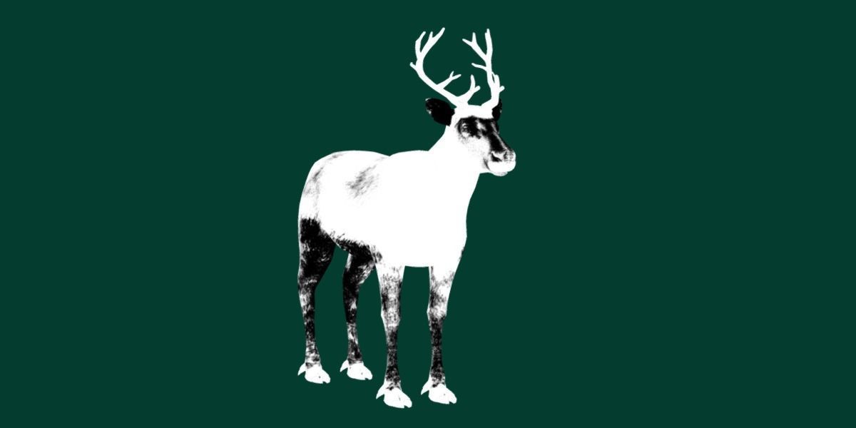 Reindeer Caribou Animal Low-poly 3D model_21