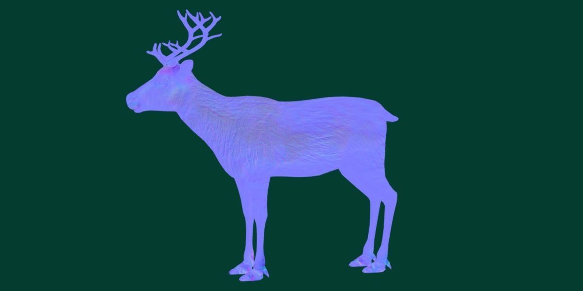 Reindeer Caribou Animal Low-poly 3D model_18