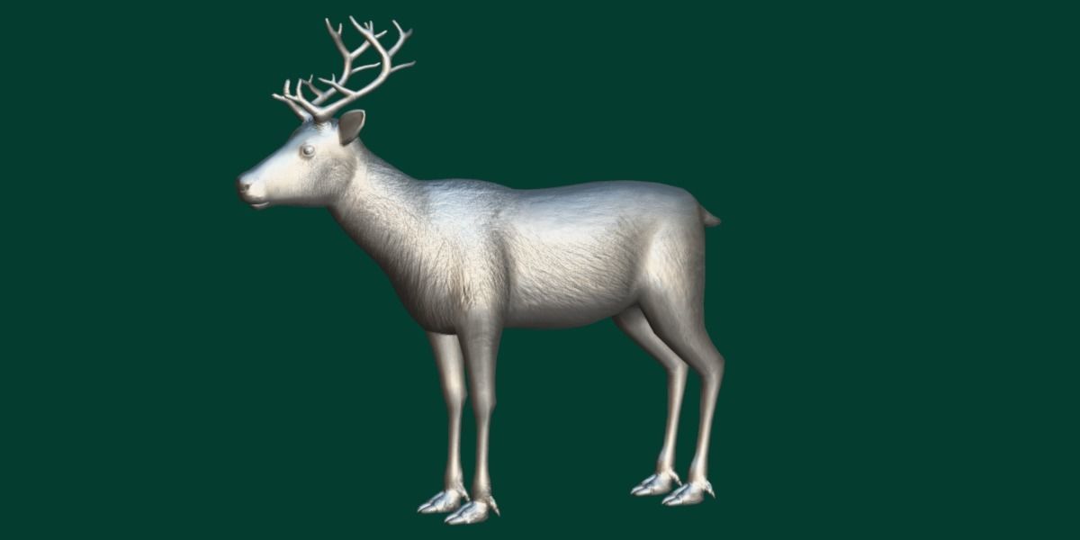 Reindeer Caribou Animal Low-poly 3D model_8