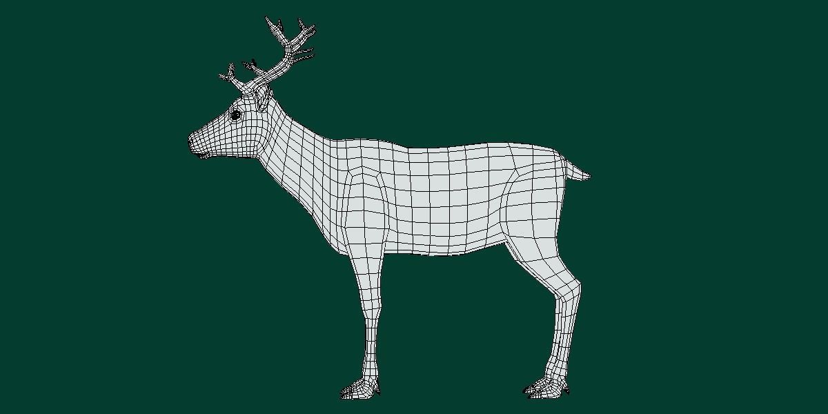 Reindeer Caribou Animal Low-poly 3D model_9