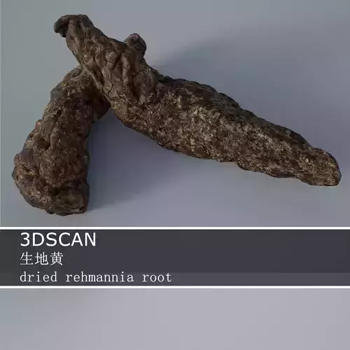 3DSCAN-Traditional Chinese Medicine-dried rehmannia root Low-poly 3D model