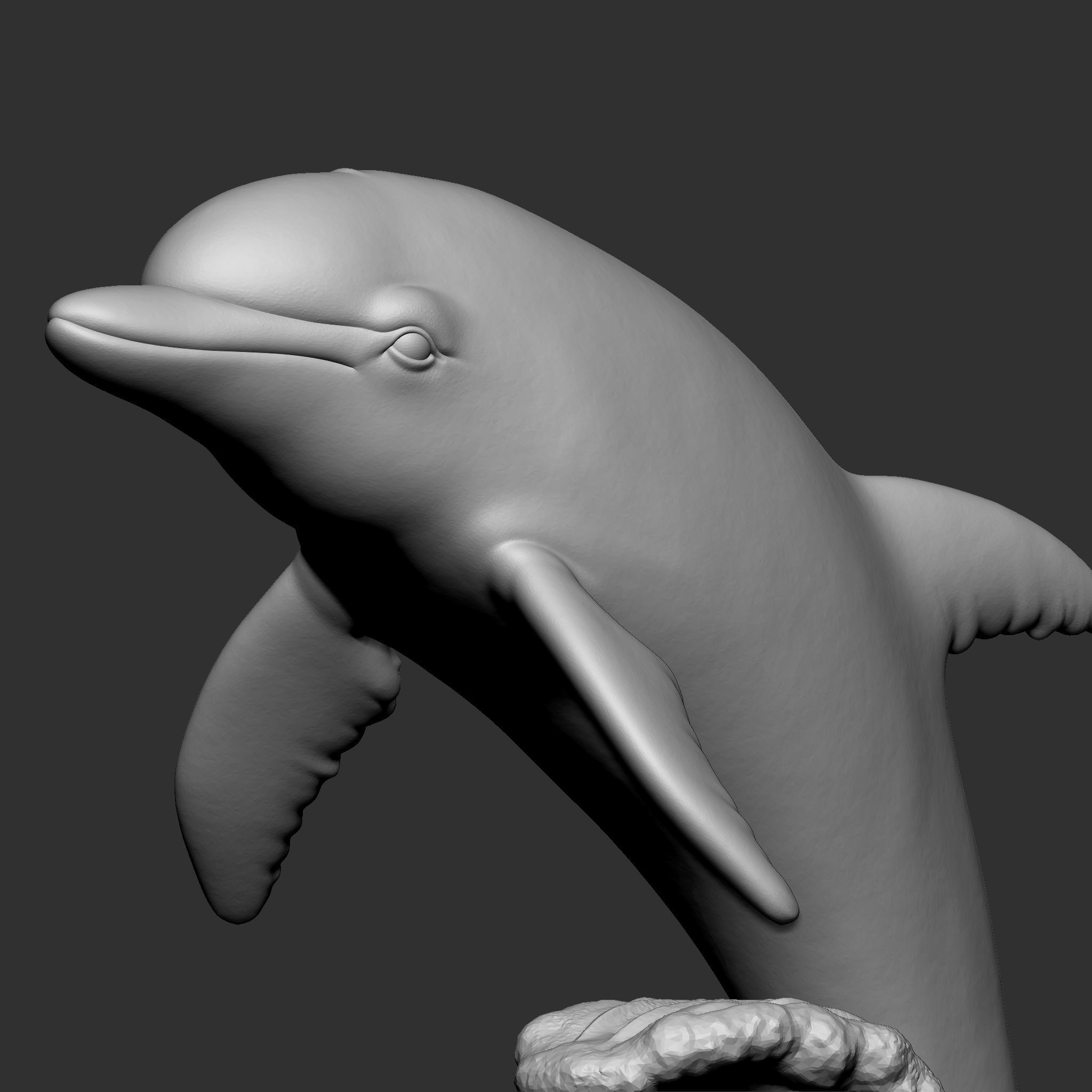 DOLPHIN 3D print model_10