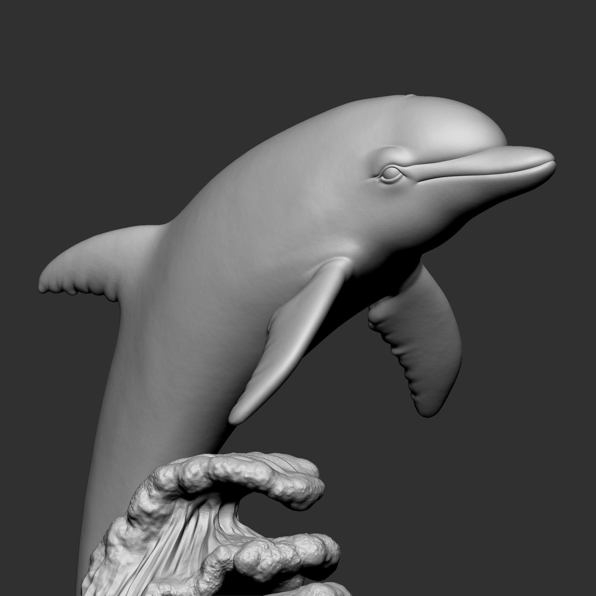 DOLPHIN 3D print model_8