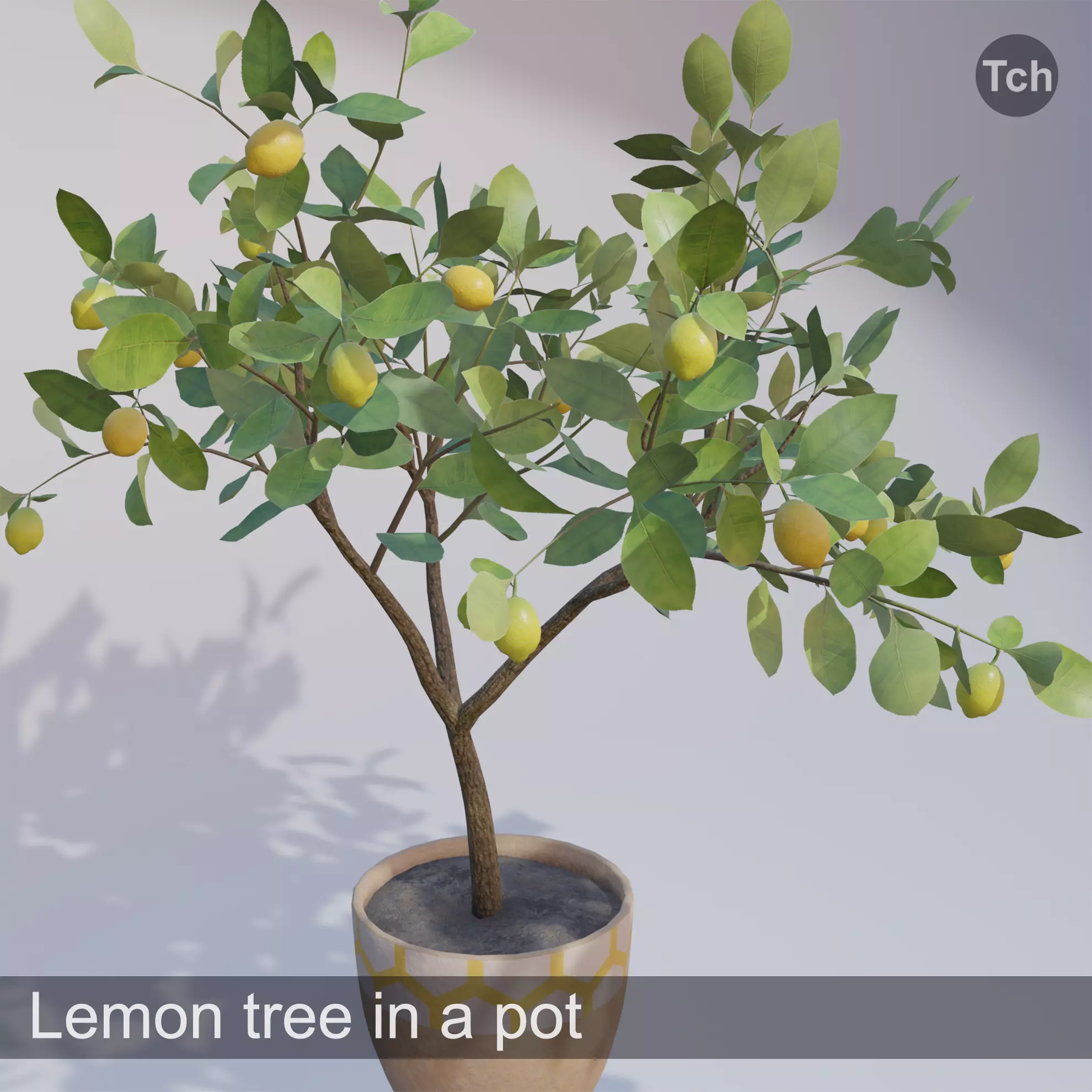 Lemon tree in a pot Low-poly 3D model