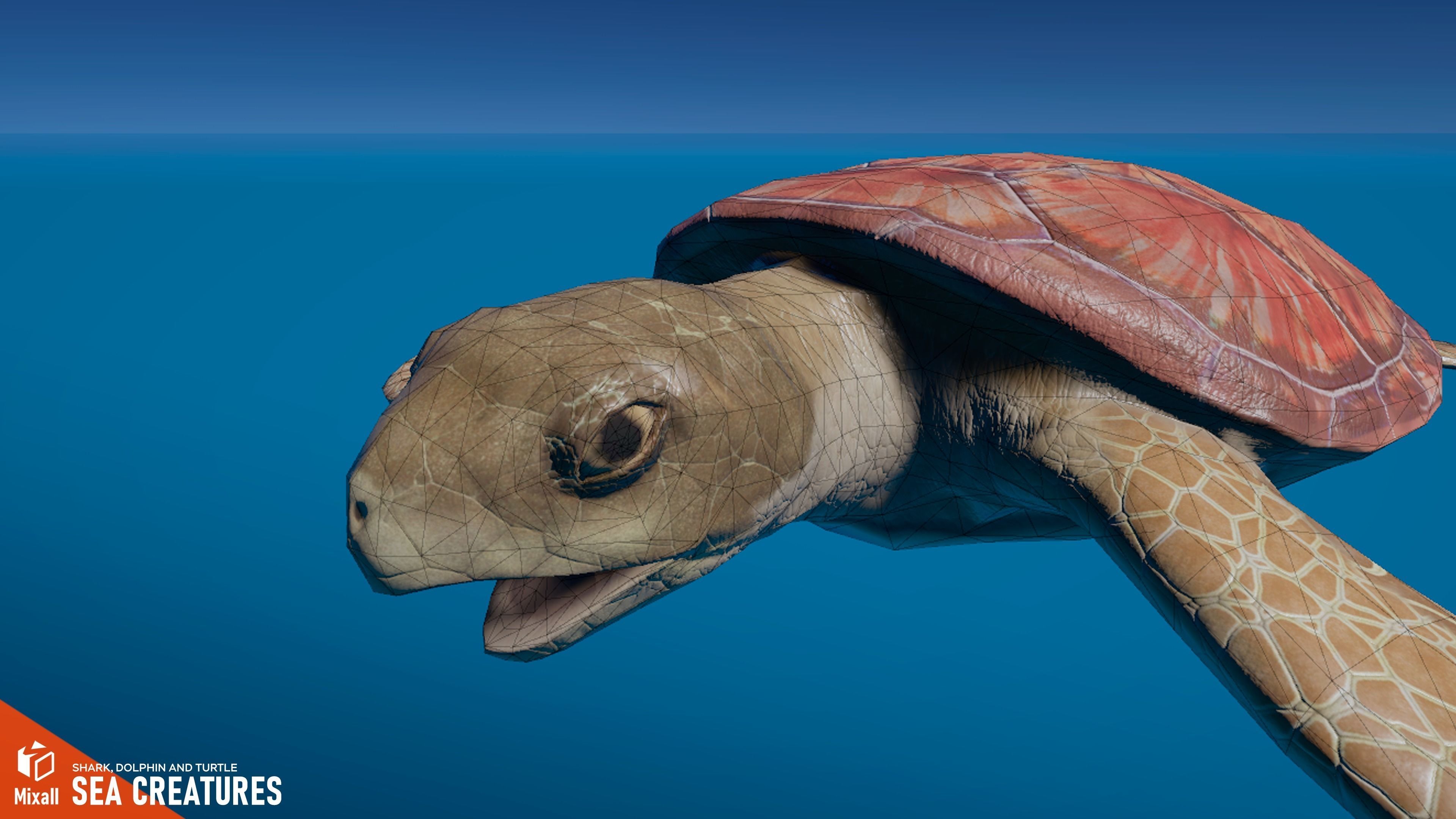 Sea Creatures - Shark dolphin stingray and turtle 3D model_15