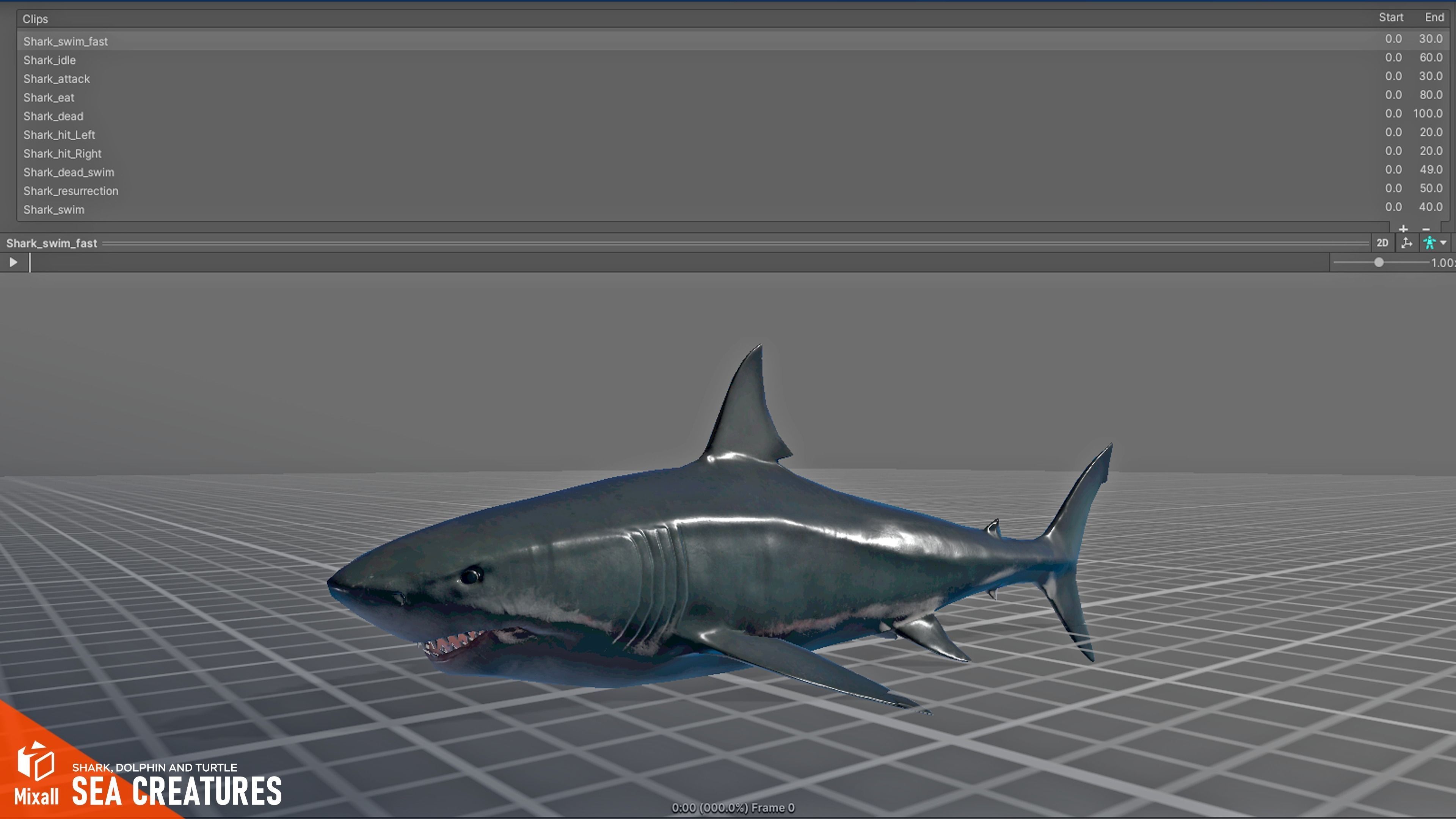 Sea Creatures - Shark dolphin stingray and turtle 3D model_3