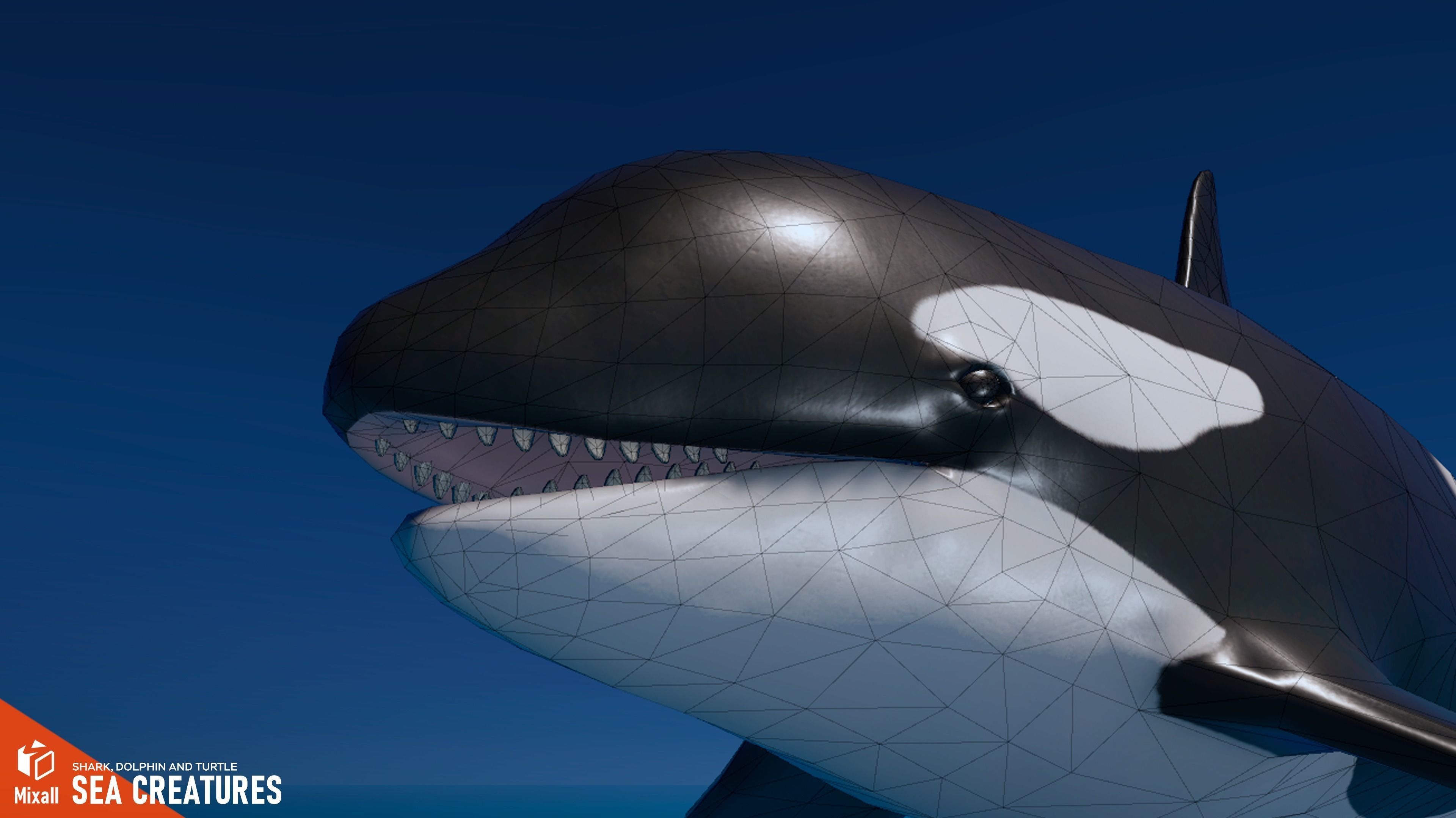 Sea Creatures - Shark dolphin stingray and turtle 3D model_4