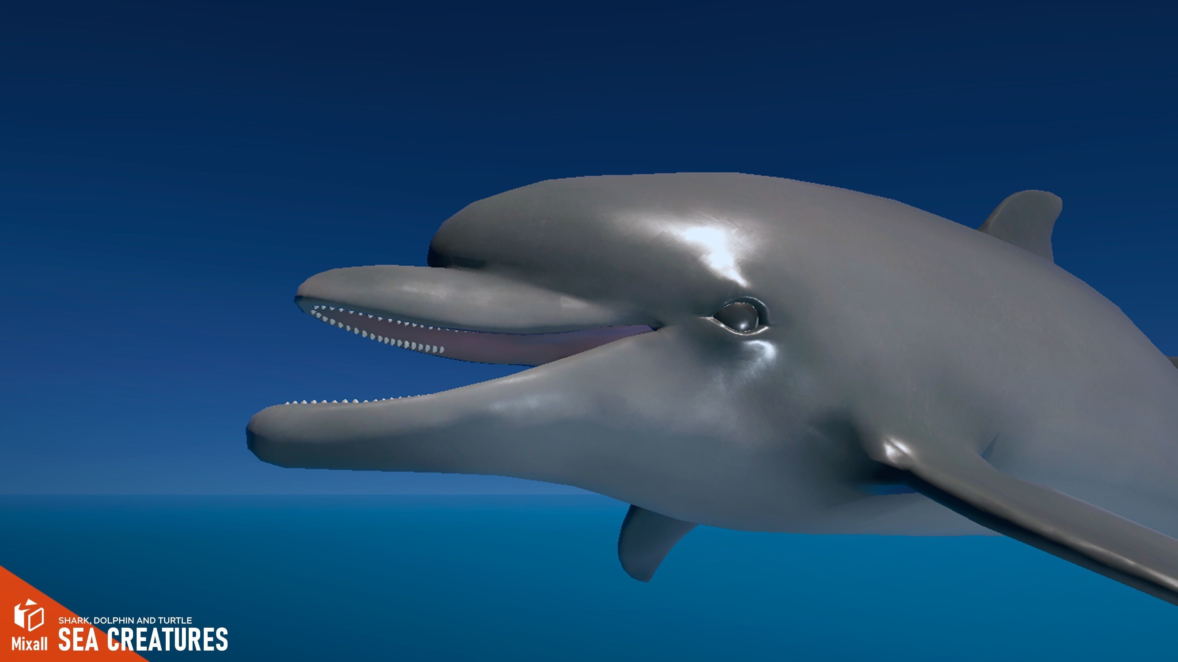 Sea Creatures - Shark dolphin stingray and turtle 3D model_2