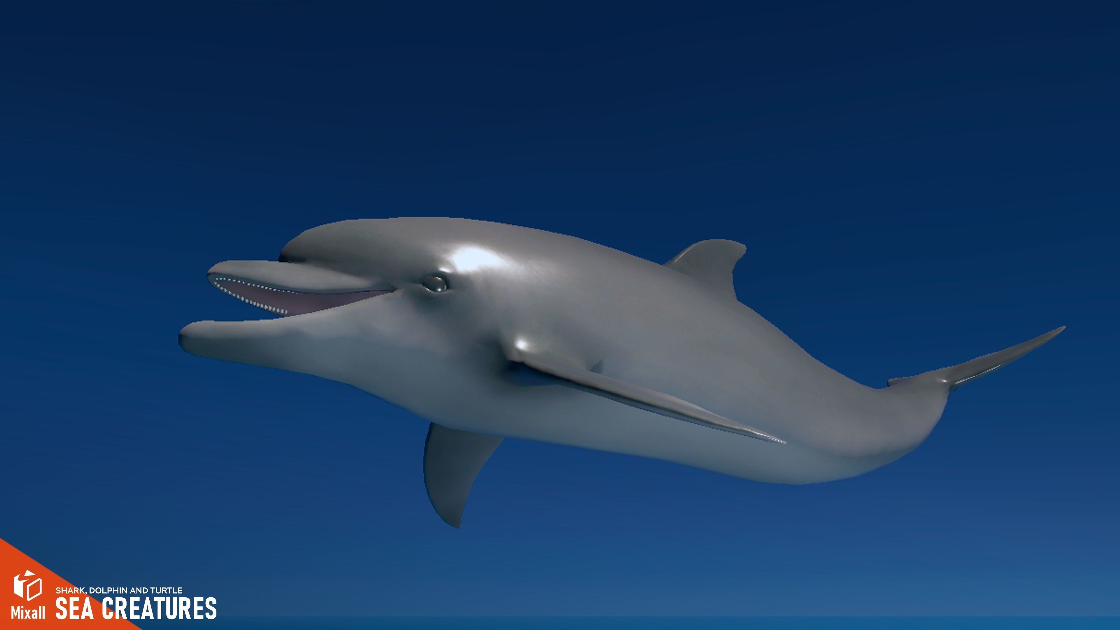 Sea Creatures - Shark dolphin stingray and turtle 3D model_18