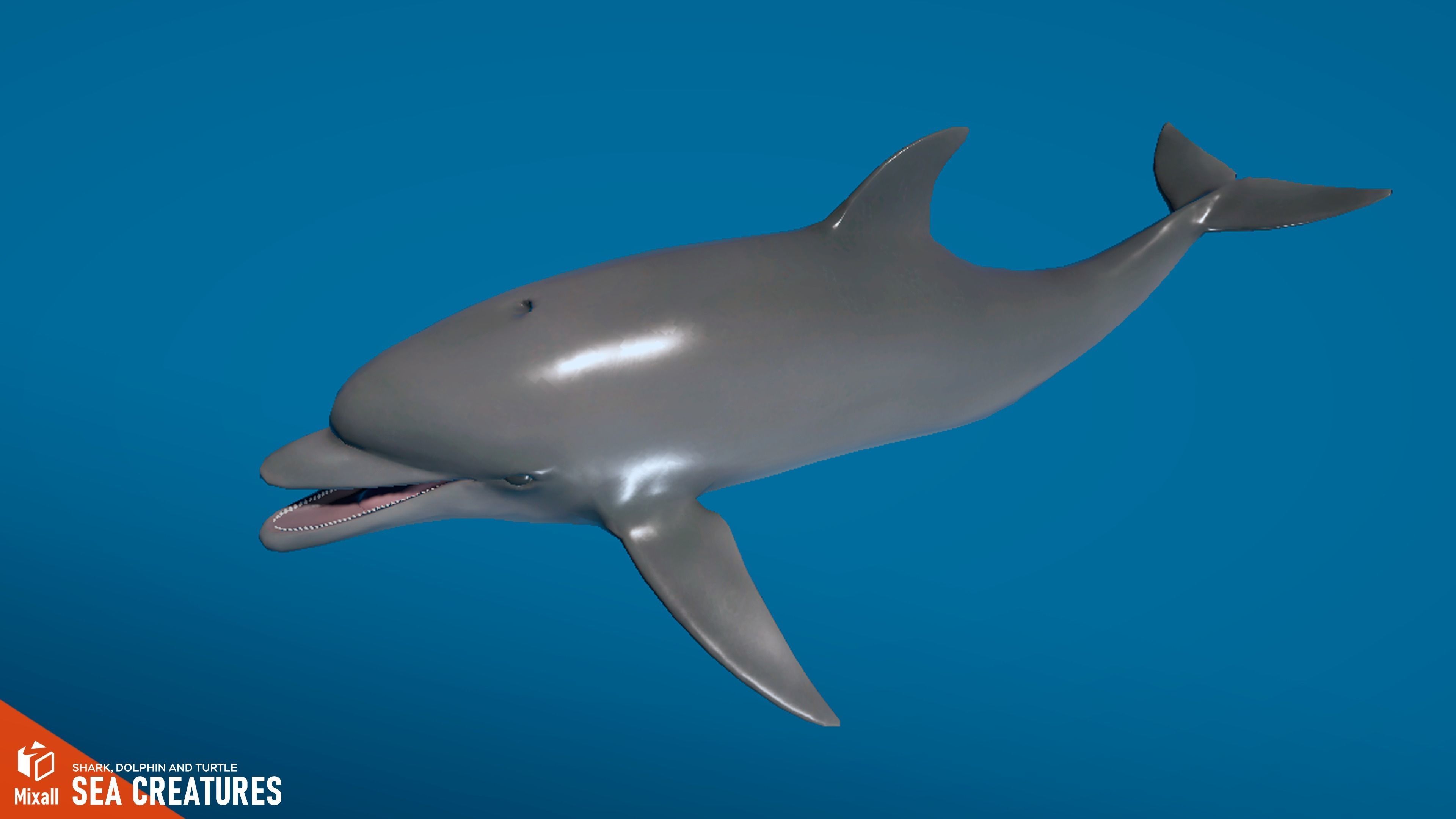 Sea Creatures - Shark dolphin stingray and turtle 3D model_1