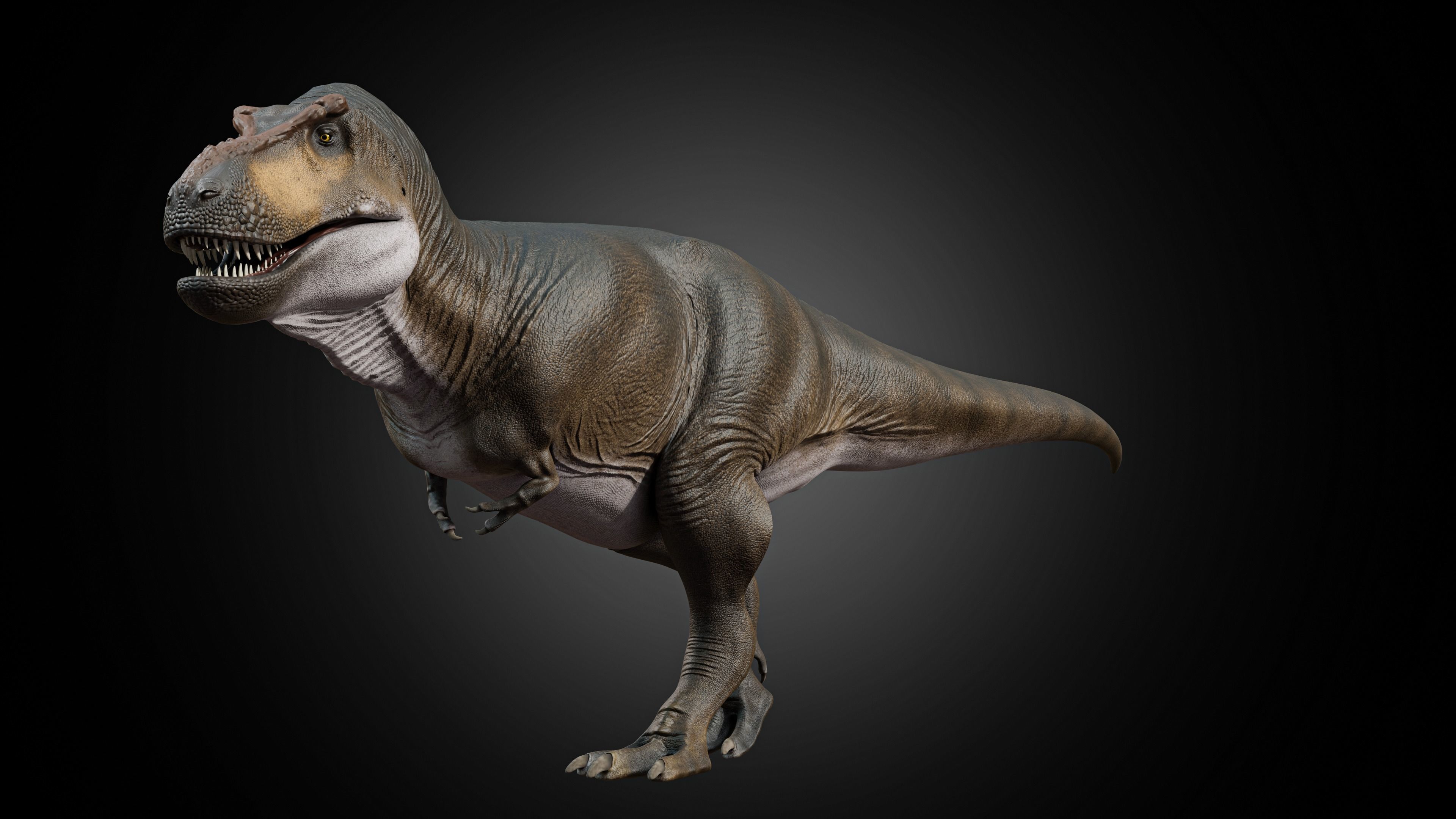 Tyrannosaurus rex Low-poly 3D model_1