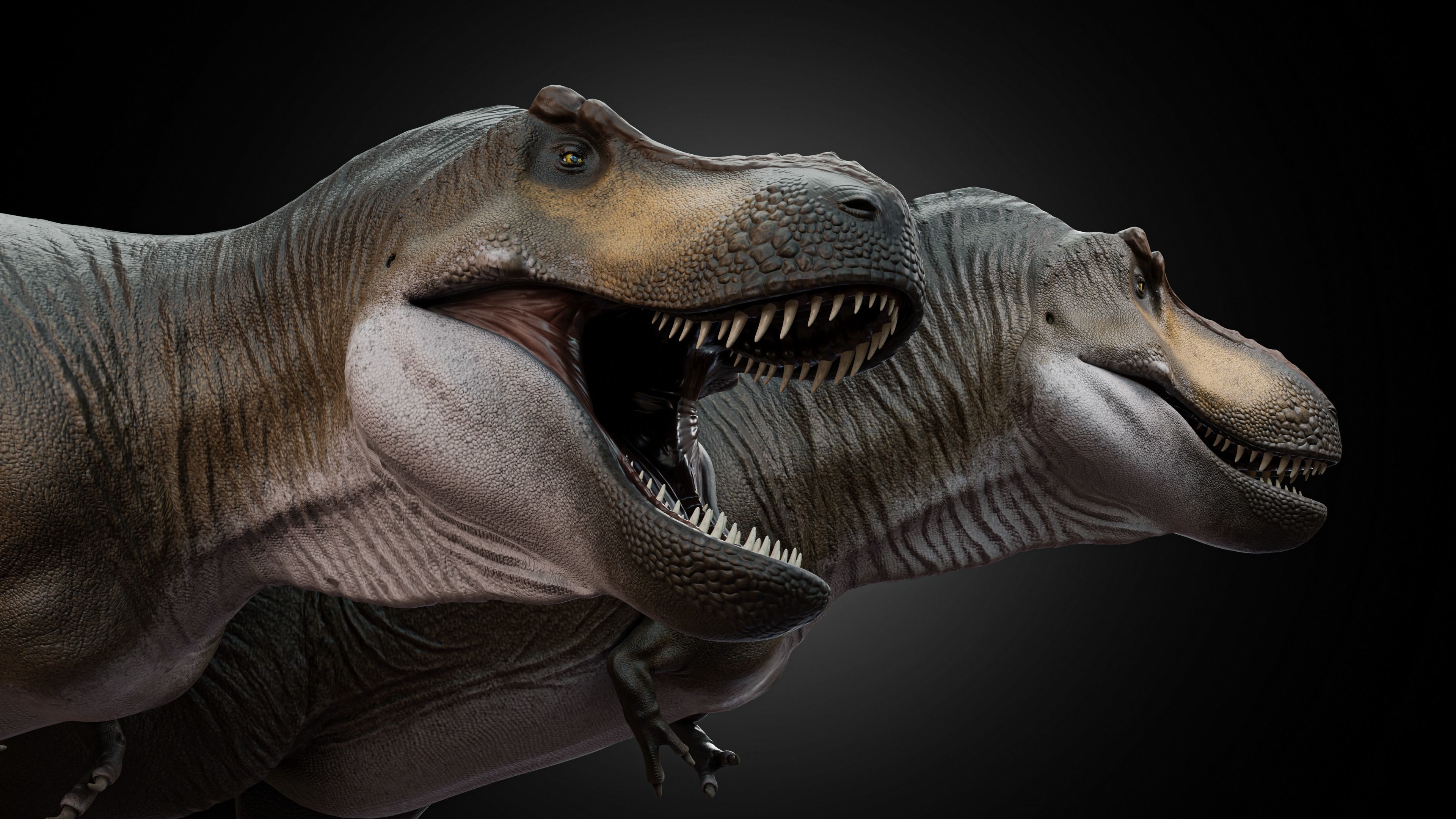 Tyrannosaurus rex Low-poly 3D model_5
