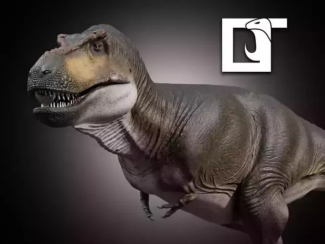 Tyrannosaurus rex Low-poly 3D model