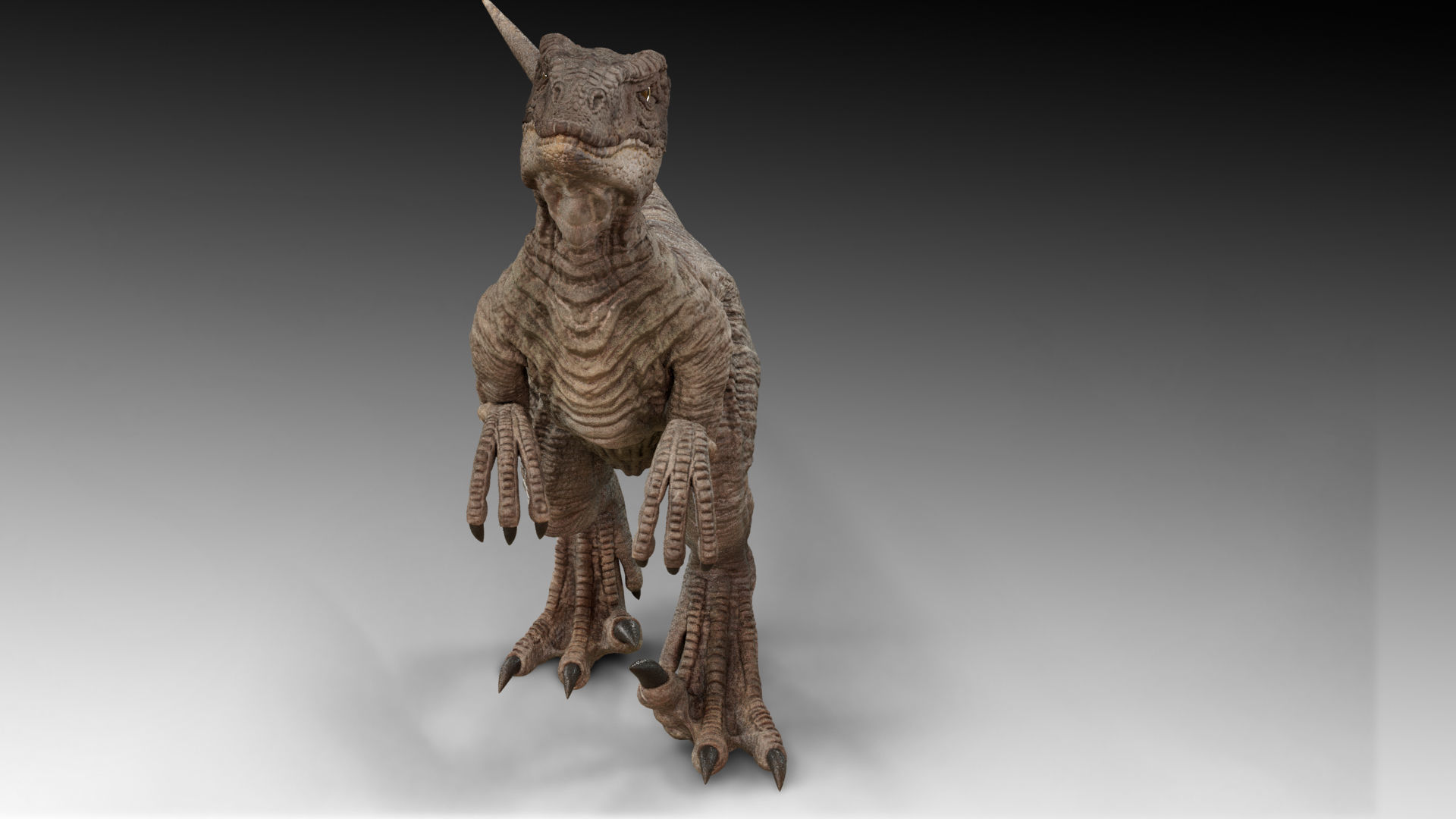 Velociraptor Low-poly 3D model_2