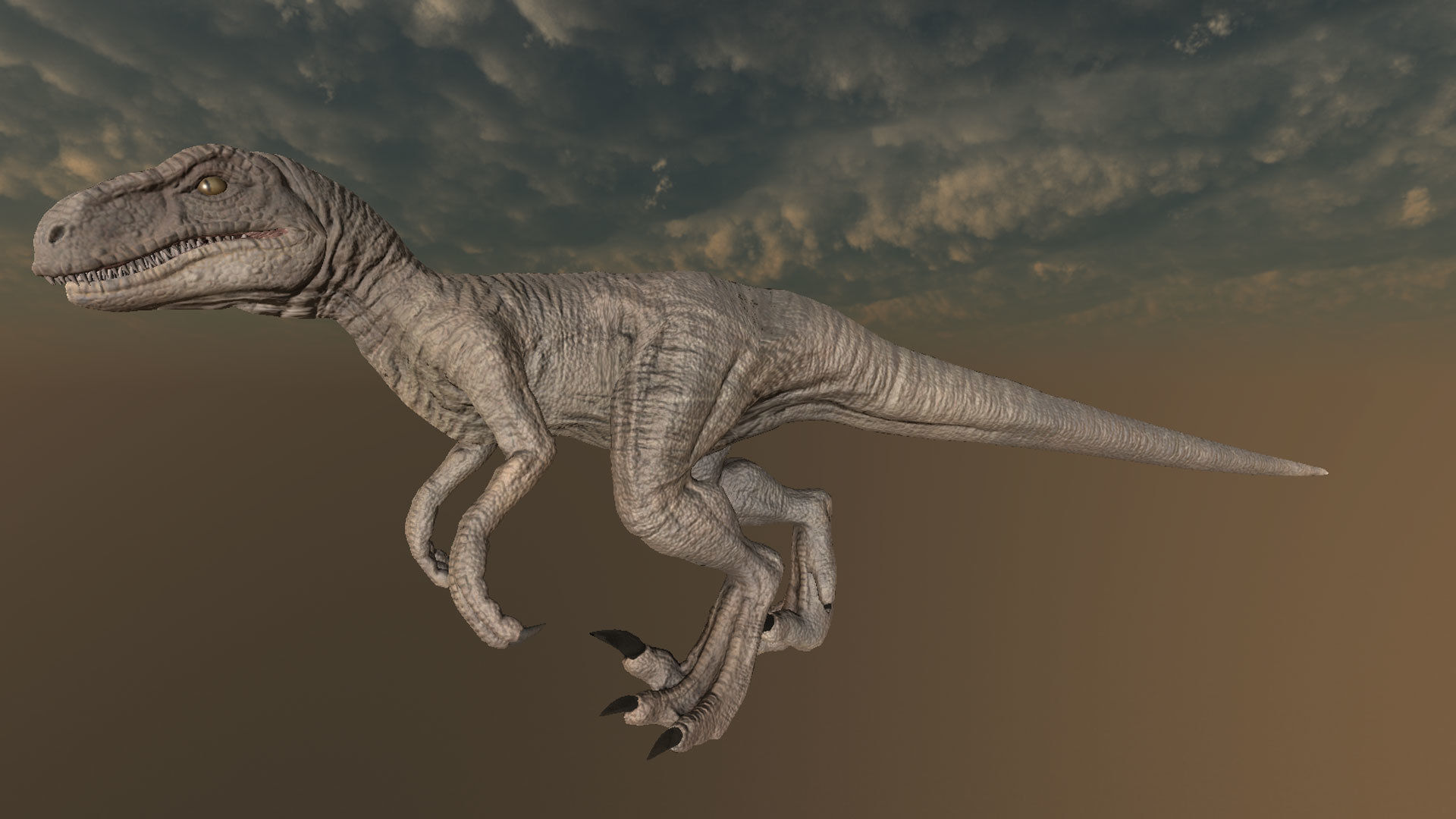 Velociraptor Low-poly 3D model_7